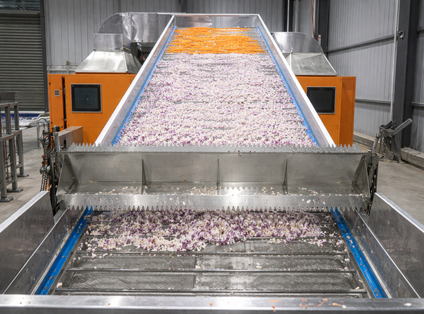 onion drying & processing project (2)